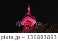 宇都宮塔和八幡山公園的夜景櫻花（固定相機拍攝）（栃木縣宇都宮市，4月拍攝） 136883893