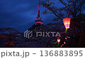 宇都宮塔和八幡山公園的夜景櫻花（固定相機拍攝）（栃木縣宇都宮市，4月拍攝） 136883895