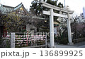 亀戸天神　鳥居とおみくじ　〓ズーム 136899925