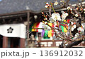 White plum blossoms at Chishaku-in Temple (Higashiyama Ward, Kyoto City) 136912032