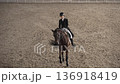 Female rider riding a horse in an indoor arena during daytime training 136918419