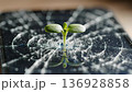Green sprout growing from cracked screen 136928858