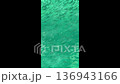 Aerial view of a large small fish swimming in clear turquoise ocean water  136943166