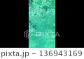Aerial view of a large small fish swimming in clear turquoise ocean water  136943169