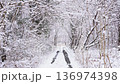 森林道路上，樹木被積雪覆蓋，路面佈滿車轍。 136974398