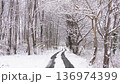 森林道路上，樹木被積雪覆蓋，路面佈滿車轍。 136974399