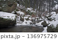 Winter Forest Stream in Little Carpathians, Slovakia 136975729