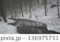 Snowy Forest Stream in Little Carpathians, Slovakia 136975731
