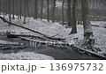 Snowy Forest Stream in Little Carpathians, Slovakia 136975732