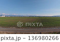 横視点で流れる田園風景 一面に広がる田んぼ 136980266