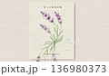 Image video of the scent of lavender flowers and essential oils 136980373