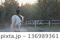 Horseback riding at sunset, an equestrian enjoying a tranquil ride in the paddock, surrounded by the beauty of nature and the calming atmosphere of the evening light 136989361