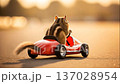 Chipmunk riding a go-kart 137028954
