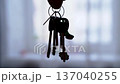 A bunch of keys in a person's hand against a window 137040255