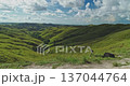 Young woman standing with arms outstretched, embracing the beauty of rolling green hills and vast landscape of Sumba Island, a popular tourist destination in Indonesia 137044764