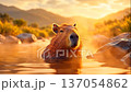 Capybara dipped in hot springs 137054862