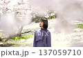 A woman looking at the cherry blossoms 137059710