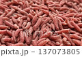Red maggot worms crawl and move on a surface in a close-up view during daytime 137073805