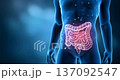 Video illustration of the human large intestine | Demonstrating digestive system disorders, inflammation, and pain 137092547