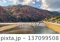 紅葉に色づくの京都嵐山 137099508