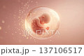 The origin of life: A video image of a fetus enveloped in mysterious light 137106517