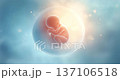 The origin of life: A video image of a fetus enveloped in mysterious light 137106518