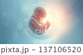 The origin of life: A video image of a fetus enveloped in mysterious light 137106520