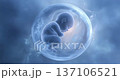 The origin of life: A video image of a fetus enveloped in mysterious light 137106521