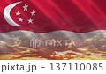 Flag of Singapore 137110085