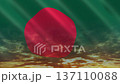 Flag of Bangladesh 137110088