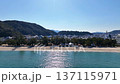 Pine forest and white sand beach at Ohama Beach in Sumoto City, Awaji Island 137115971