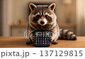 A cute raccoon holding a calculator on a wooden table. 137129815
