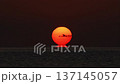 Daruma sunset on the horizon 137145057
