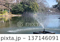 井の頭池の噴水 137146091