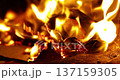The instant the paper money burned fiercely inside the incense burner 137159305