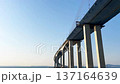 Low-Angle View of the Massive Piers and Underside Structure of Incheon Bridge 137164639