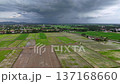 Drone footage showing flooded green paddy fields and approaching storm clouds over rural landscape. 137168660