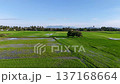 View from sky drone footage showing flooded green paddy fields, solitary trees, and distant mountains under clear sky. 137168664
