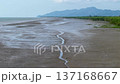 Top down view aerial perspective showing exposed muddy coastal mudflat and winding tidal channel near mangroves. 137168667