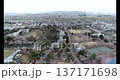 新潟県上越市高田　観桜会　高田城　ドローン 137171698