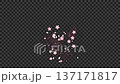 桜の香りをイメージしたエフェクトアニメーション 137171817