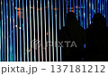 silhouette of a person under the beam of blue light 137181212