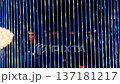 silhouette of a person under the beam of blue light 137181217