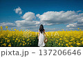 Young Asian woman in white dress walking through vibrant yellow canola field under dramatic blue sky with puffy white clouds holding straw hat 137206646