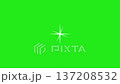 White Sparkle Star On Green Screen Background For Visual Effects And Video Compositing 137208532