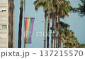 Rainbow LGBT flag with stripes on pole against palm alley in city on sunny day. Decoration of Spanish city during pride month, preparation for equality parade. 137215570