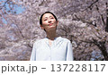 満開の桜と女性　桜吹雪　スローモーション 137228117