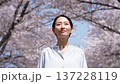 満開の桜と女性　スローモーション 137228119