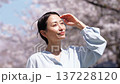 満開の桜と女性　スローモーション 137228120