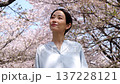 満開の桜と女性 137228121
